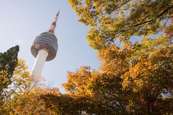 ▲雄獅旅遊ITF旅展優惠。（圖／雄獅旅遊提供）