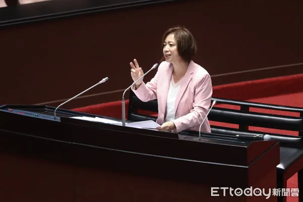 ▲民進黨立委何欣純質詢。（圖／記者林敬旻攝）
