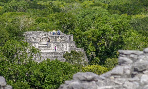 ▲▼馬雅遺址卡拉克穆爾（Calakmul）。（圖／達志影像／美聯社）