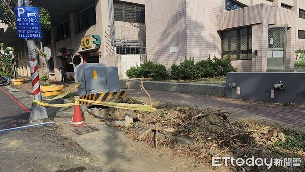 ▲▼強颱康芮直撲！綠議員揭高雄路樹「緊鄰變電箱」　恐釀公安危機。（圖／記者賴文萱翻攝）