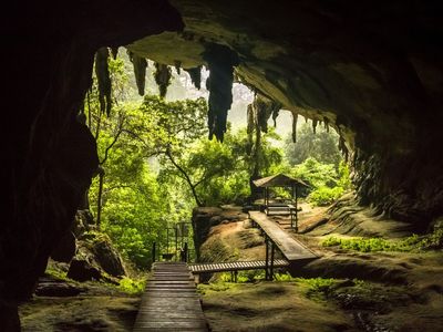 馬國藏4萬坪洞窟、東南亞最高山！