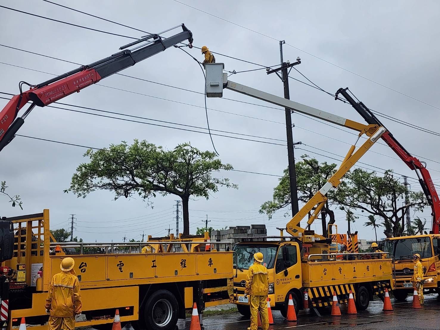 ▲台電人員進行高壓線斷線搶修作業。（圖／台電提供）