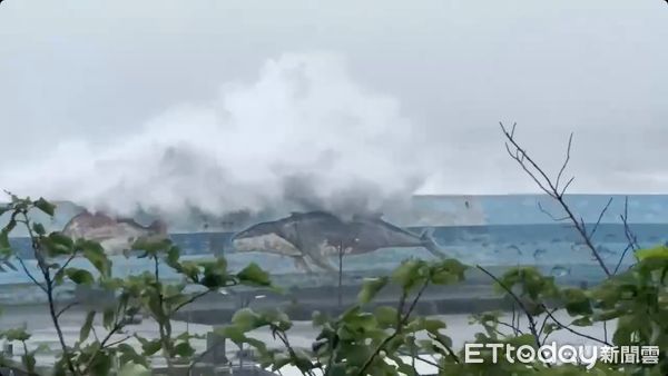 ▲▼康芮颱風台東富岡漁港。（圖／記者楊漢聲翻攝）