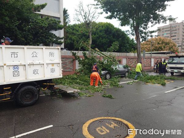 ▲▼彰化路樹遭強風吹斷壓到自小客。（圖／記者唐詠絮翻攝）