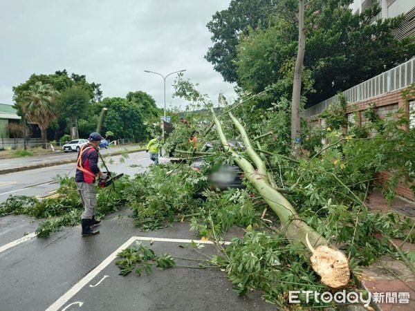 ▲▼彰化路樹遭強風吹斷壓到自小客。（圖／記者唐詠絮翻攝）