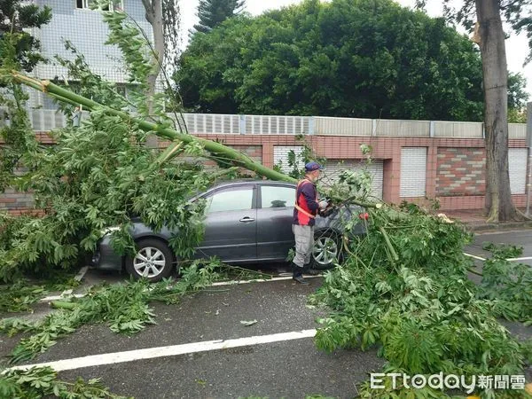 ▲▼彰化路樹遭強風吹斷壓到自小客。（圖／記者唐詠絮翻攝）