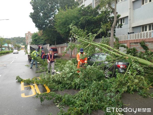 ▲▼彰化路樹遭強風吹斷壓到自小客。（圖／記者唐詠絮翻攝）