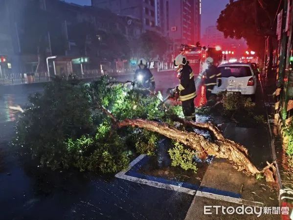 ▲▼北市大同區路樹倒塌，導致2名騎士摔倒受傷。(圖／記者邱中岳翻攝）