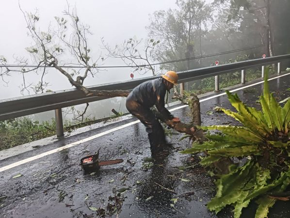 ▲強風豪雨致宜蘭地區大樹傾倒阻礙交通，台電同仁徒步巡視搶修。（圖／台電提供）