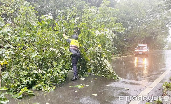 ▲康芮颱風帶來強風豪雨，龍潭區高揚北路等多處發生路樹倒塌，龍潭警方今天上午冒雨鋸樹排除路障。（圖／記者沈繼昌翻攝）