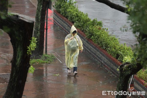 ▲▼康芮颱風暴風圈籠罩台灣,今日全台皆放颱風假，北市街頭午後風雨漸強。天氣,行人,路人,雷雨,大雨,大雷雨,下雨,雨天,豪大雨,午後雷陣雨,梅雨,降雨,氣象,豪雨,西南氣流,颱風外圍環流,滯留鋒面,撐傘,雨傘,陰雨綿綿,潮濕,濕度,熱對流,天氣配圖。（圖／記者李毓康攝）
