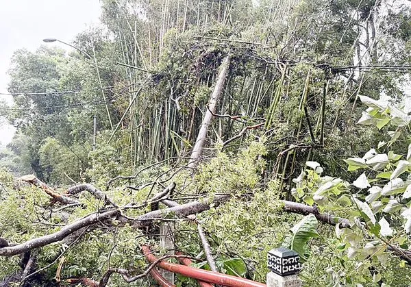 ▲康芮颱風帶來強風豪雨，造成桃園市多處路樹倒塌造成停電。（圖／台電桃園營業處提供）