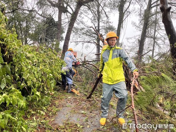 ▲仁愛鄉風強雨驟，多處路樹倒塌壓到電線，僅部分路段可通行，造成搶修困難，台電人員步行挺進。（圖／台電南投區處提供，下同）