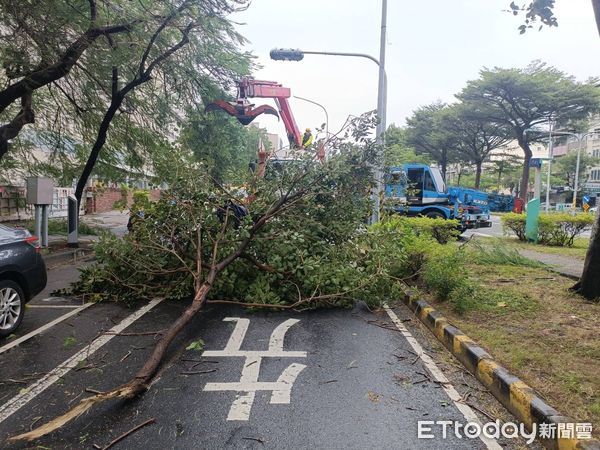 ▲強颱「康芮」來襲，大台南地區傳出有零星路樹倒伏、廣告招牌掉落等情況，市府獲報後立即動員所屬到場排除，迅速排除復原市容環境，確保市民安全。（圖／記者林東良翻攝，下同）