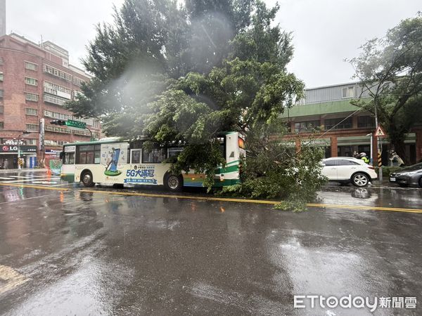 ▲▼板橋公車遭路樹壓住             。（圖／記者陳以昇翻攝）