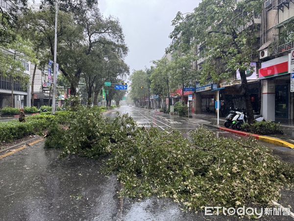 ▲康芮颱風來襲造成北市大安區復興南路路樹倒塌。（圖／記者張君豪翻攝）