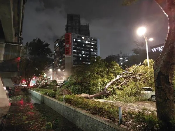 ▲▼立委王鴻薇表示，台北市傳出多處的災情，圖為新生北路路樹倒塌。（圖／翻攝自Facebook／王鴻薇）