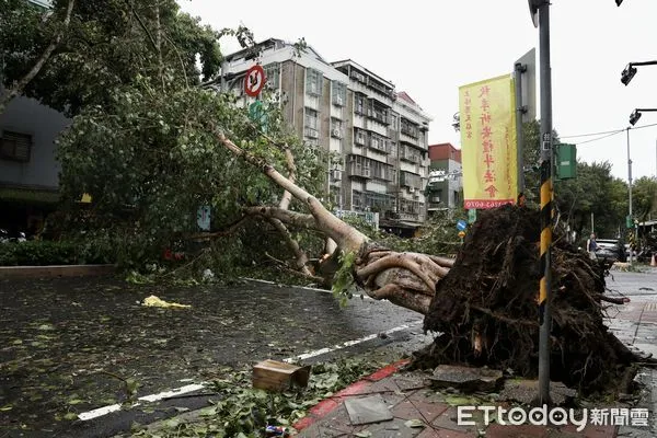 ▲▼康芮颱風狂風豪雨一夜橫掃全台，北市街頭滿是傾倒路樹，撫遠街雙向皆無法通行。（圖／記者李毓康攝）