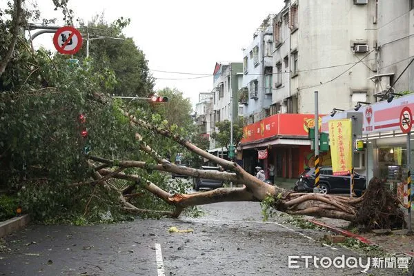 ▲▼康芮颱風狂風豪雨一夜橫掃全台，北市街頭滿是傾倒路樹，撫遠街雙向皆無法通行。（圖／記者李毓康攝）