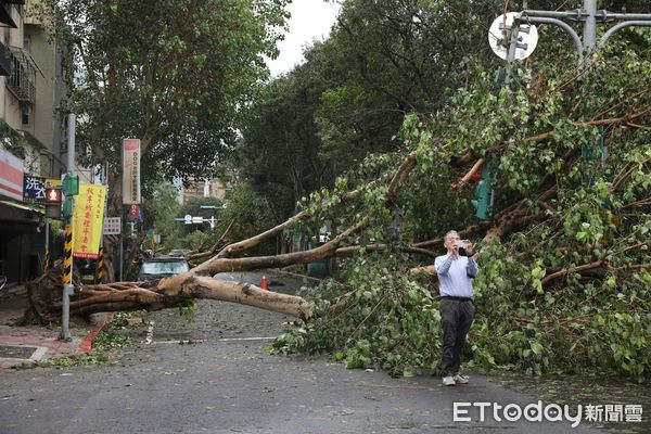 ▲▼康芮颱風狂風豪雨一夜橫掃全台，北市街頭滿是傾倒路樹，撫遠街雙向皆無法通行。（圖／記者李毓康攝）