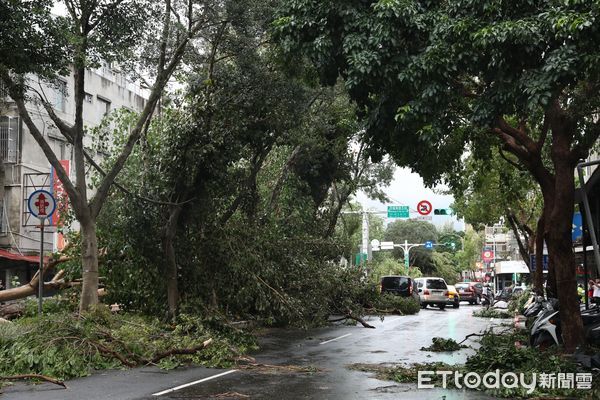 ▲▼康芮颱風狂風豪雨一夜橫掃全台，北市街頭滿是傾倒路樹，撫遠街雙向皆無法通行。（圖／記者李毓康攝）