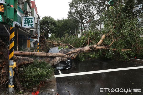 ▲▼康芮颱風狂風豪雨一夜橫掃全台，北市街頭滿是傾倒路樹，撫遠街雙向皆無法通行。（圖／記者李毓康攝）