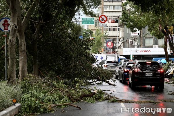 ▲▼康芮颱風狂風豪雨一夜橫掃全台，北市街頭滿是傾倒路樹，撫遠街雙向皆無法通行。（圖／記者李毓康攝）