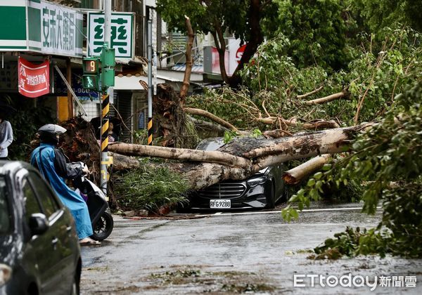 ▲▼康芮颱風狂風豪雨一夜橫掃全台，北市街頭滿是傾倒路樹，撫遠街雙向皆無法通行。（圖／記者李毓康攝）