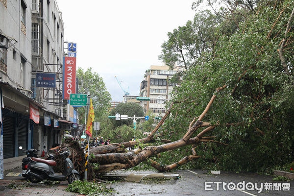 ▲▼康芮颱風狂風豪雨一夜橫掃全台，北市街頭滿是傾倒路樹，撫遠街雙向皆無法通行，周邊交通大打結。（圖／記者李毓康攝）