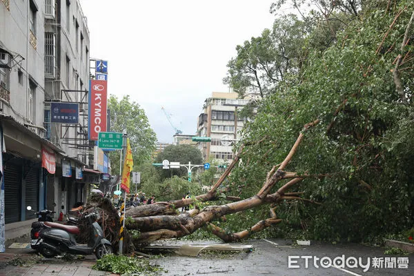 ▲▼康芮颱風狂風豪雨一夜橫掃全台，北市街頭滿是傾倒路樹，撫遠街雙向皆無法通行，周邊交通大打結。（圖／記者李毓康攝）