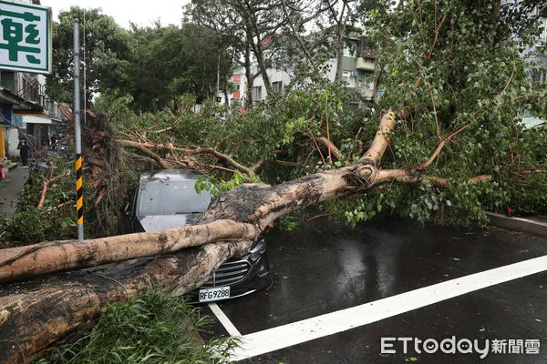 ▲▼康芮颱風狂風豪雨一夜橫掃全台，北市街頭滿是傾倒路樹，撫遠街雙向皆無法通行，周邊交通大打結。（圖／記者李毓康攝）