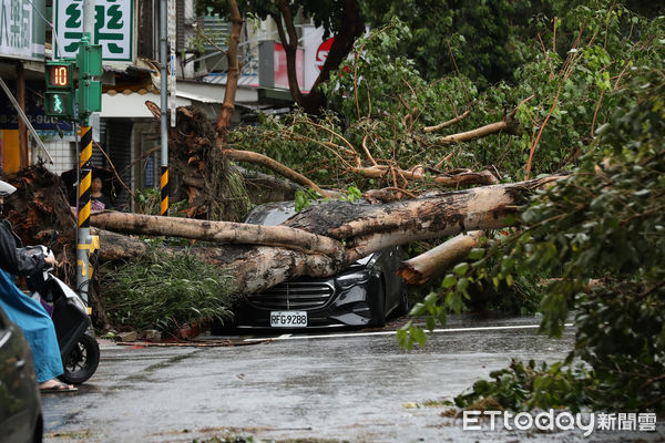 ▲▼康芮颱風狂風豪雨一夜橫掃全台，北市街頭滿是傾倒路樹，撫遠街雙向皆無法通行，周邊交通大打結。（圖／記者李毓康攝）