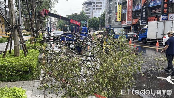 ▲▼康芮颱風過後，八德路施工人員清理被強風吹斷阻礙交通的路樹。（圖／記者姜國輝攝）