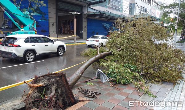 ▲▼康芮颱風強風 台北市路樹折斷 頃倒 松山車站周邊。（圖／記者屠惠剛攝）