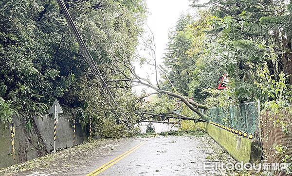 ▲桃園市龜山區西勢湖路50號旁電線桿、路樹昨天傍晚被強風吹倒，現場交通中斷。（圖／記者沈繼昌翻攝）