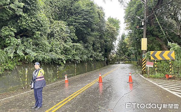 ▲桃園市龜山區西勢湖路50號旁電線桿、路樹昨天傍晚被強風吹倒，員警在現場引導車輛改道。（圖／記者沈繼昌翻攝）