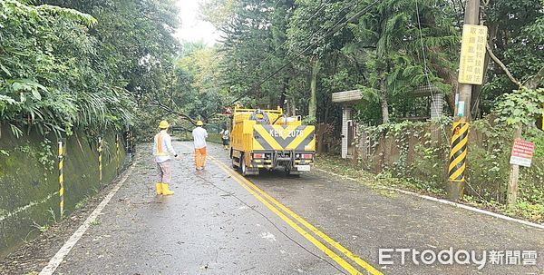 ▲桃園市龜山區西勢湖路50號旁電線桿、路樹昨天傍晚被強風吹倒，台電工程人員今天上午到場搶修。（圖／記者沈繼昌翻攝）