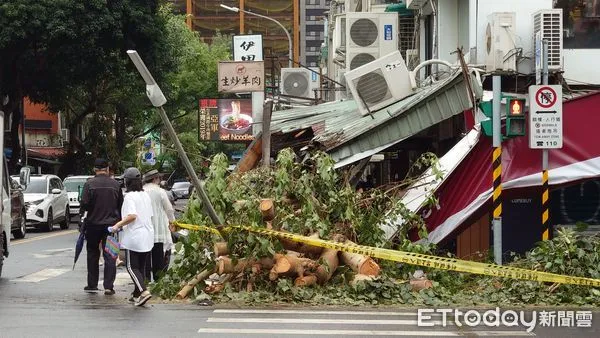 ▲▼康芮強颱襲台 台北市強風 吹倒路樹 壓垮飲料店招牌 遮雨棚 民生東路五段。（圖／記者屠惠剛攝）