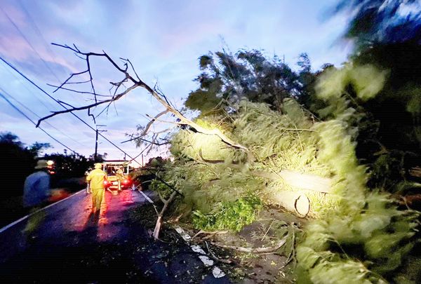 ▲桃園市地區因康芮颱風強豪雨造成多處停電，台電桃園營業處工程人員冒雨搶修。（圖／台電桃園營業處提供）