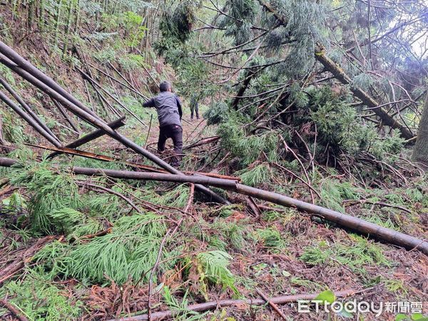 ▲▼南投4名獵人山區失聯逾24小時，搜救人員無功而返，明天繼續搜救。（圖／記者高堂堯翻攝）