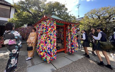 京都被五顏六色「欲望」綁滿的神社！