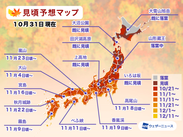 ▲▼Weather News紅葉見頃預報。（圖／取自Weather News官網）