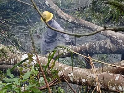 康芮餘威！全台9941戶停電搶修中　花蓮瑞穗、新北石碇最多