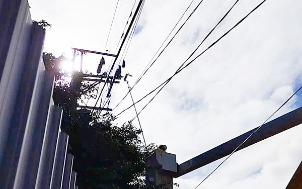 ▲康芮颱風造成桃園市最多6萬3千餘戶停電，台電桃園營業處搶修中。（圖／台電桃園營業處提供）