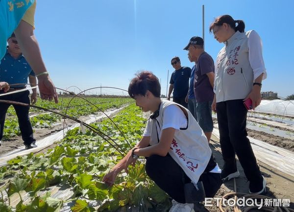 ▲陳亭妃會勘東原2號橋下陷及將軍哈密瓜農損，加速爭取復建與補助經費。（圖／記者林東良翻攝，下同）