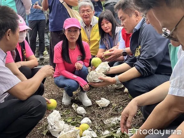 ▲立委陳瑩、莊瑞雄與相關部會勘災關心農漁民。（圖／記者楊漢聲翻攝）