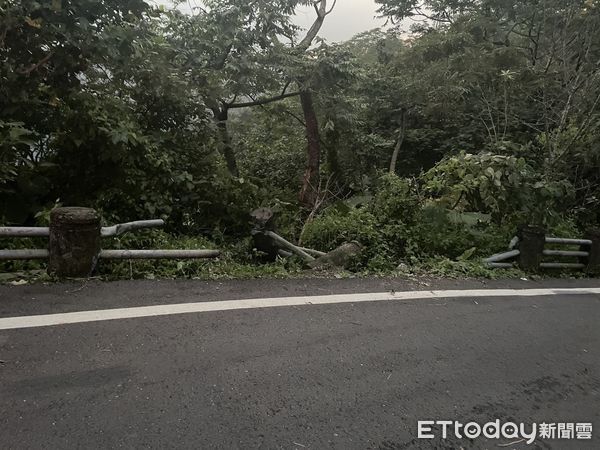 ▲▼嘉義鄉道「轎車墜入山谷」4人受困　現場3層樓高！消防繩索救援。（圖／記者翁伊森翻攝）