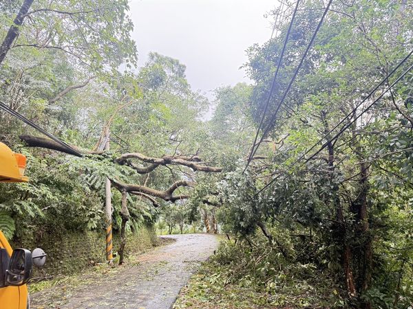 ▲▼新北市搶修困難地區主要集中在石碇及坪林山區，台電持續啟動跨區支援。（圖／台電提供）