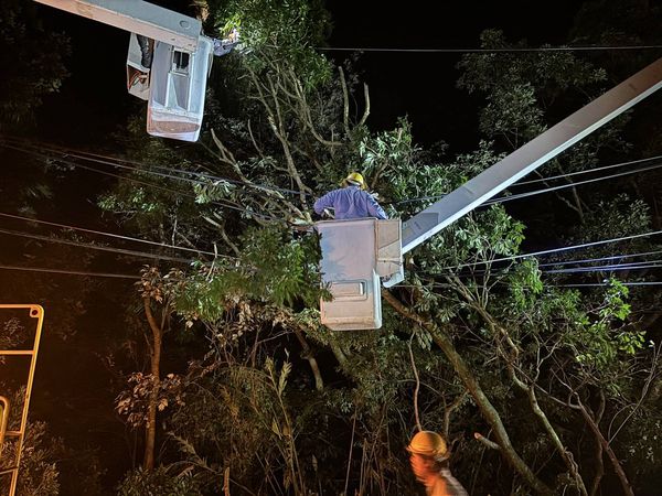 ▲▼新北市搶修困難地區主要集中在石碇及坪林山區，台電持續啟動跨區支援。（圖／台電提供）