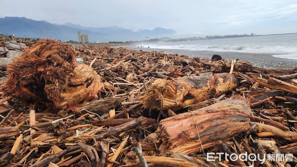 ▲▼康芮颱風沖刷出近約13,000噸漂流木。（圖／花蓮分署提供，下同）